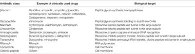 Brief Overview of Approaches and Challenges in New Antibiotic Development: A Focus On Drug Repurposing